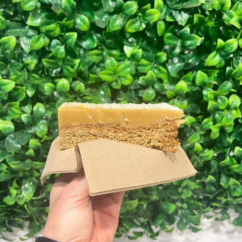 Oaty ginger coconut slice held up
